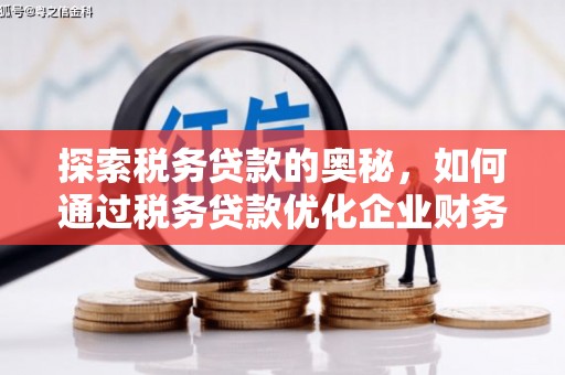 天河探索税务贷款的奥秘，如何通过税务贷款优化企业财务