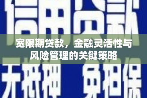 天河宽限期贷款，金融灵活性与风险管理的关键策略