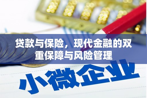 天河贷款与保险，现代金融的双重保障与风险管理