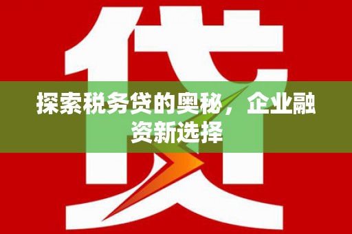 天河探索税务贷的奥秘，企业融资新选择