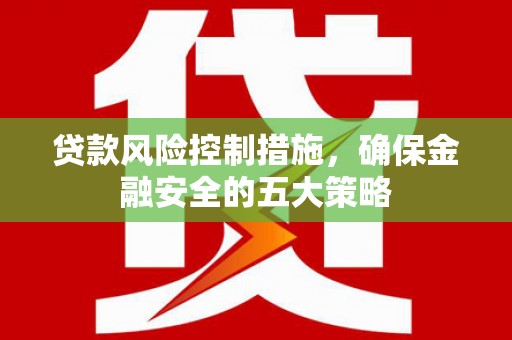 天河贷款风险控制措施，确保金融安全的五大策略