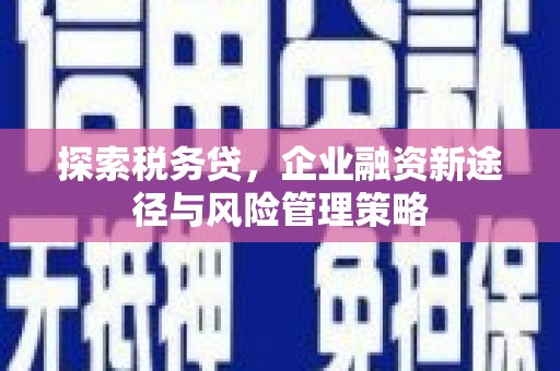 天河探索税务贷，企业融资新途径与风险管理策略