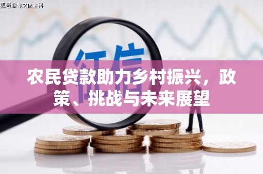 天河农民贷款助力乡村振兴，政策、挑战与未来展望
