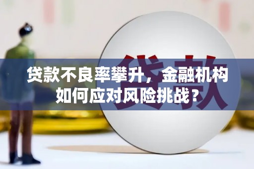 天河贷款不良率攀升，金融机构如何应对风险挑战？