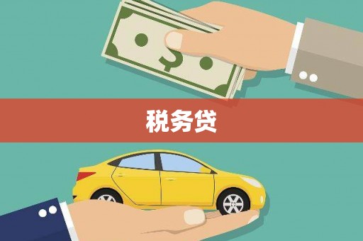 天河税务贷