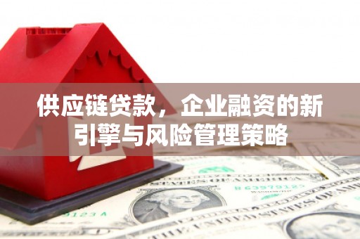 天河供应链贷款，企业融资的新引擎与风险管理策略
