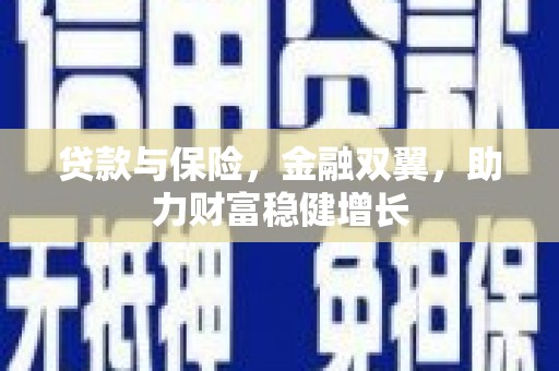 天河贷款与保险，金融双翼，助力财富稳健增长