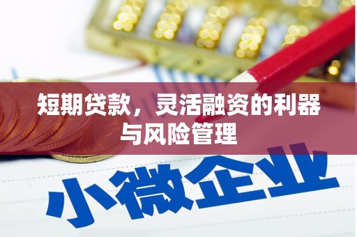 天河短期贷款，灵活融资的利器与风险管理