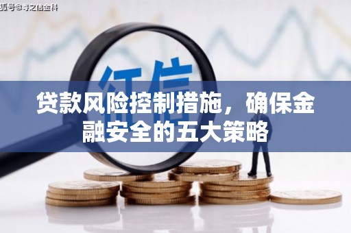 天河贷款风险控制措施，确保金融安全的五大策略