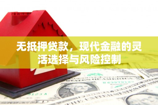 天河无抵押贷款，现代金融的灵活选择与风险控制