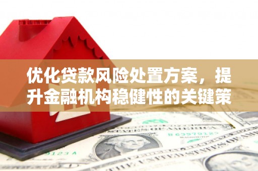 天河优化贷款风险处置方案，提升金融机构稳健性的关键策略
