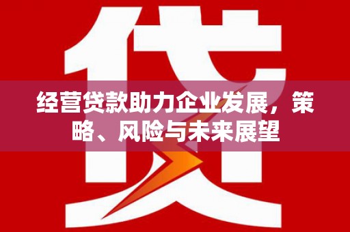 天河经营贷款助力企业发展，策略、风险与未来展望