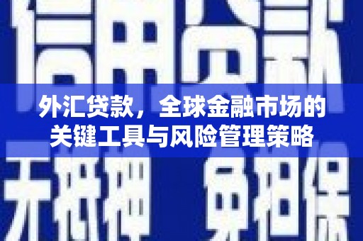 天河外汇贷款，全球金融市场的关键工具与风险管理策略
