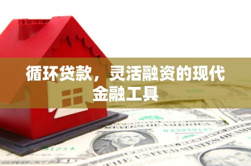 天河循环贷款，灵活融资的现代金融工具