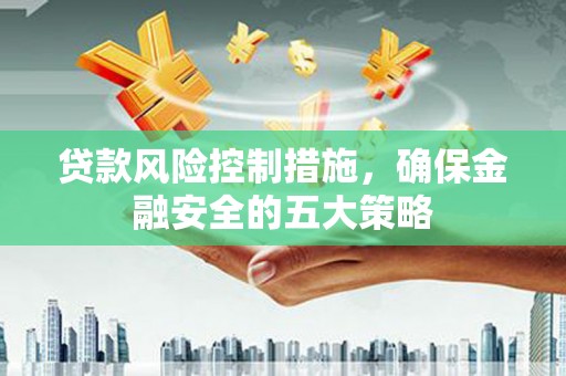 天河贷款风险控制措施，确保金融安全的五大策略