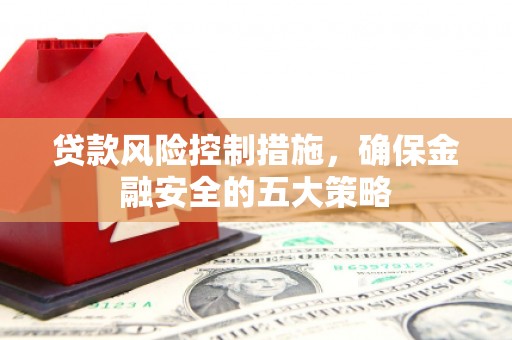 天河贷款风险控制措施，确保金融安全的五大策略