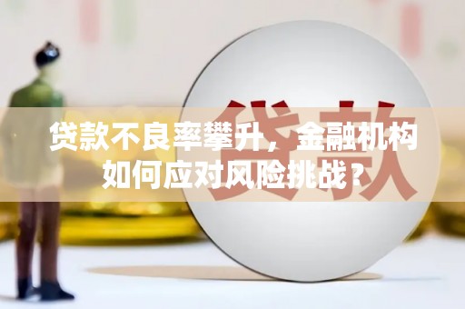 天河贷款不良率攀升，金融机构如何应对风险挑战？