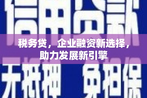 天河税务贷，企业融资新选择，助力发展新引擎