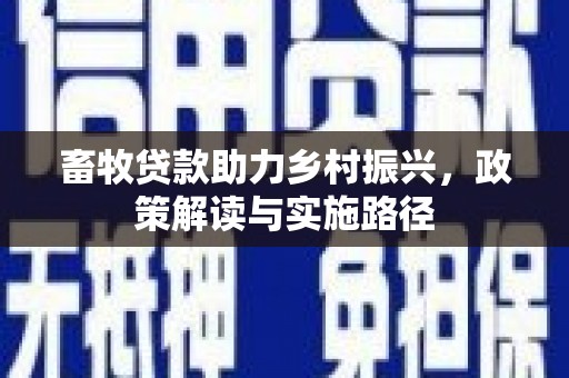 天河畜牧贷款助力乡村振兴，政策解读与实施路径