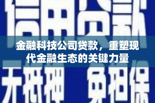 天河金融科技公司贷款，重塑现代金融生态的关键力量