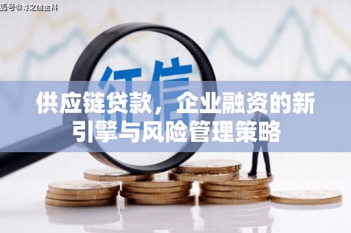 天河供应链贷款，企业融资的新引擎与风险管理策略