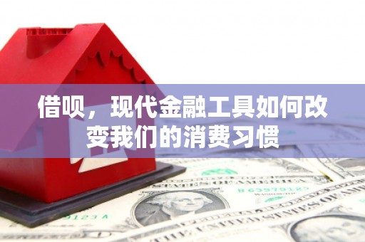 天河借呗，现代金融工具如何改变我们的消费习惯