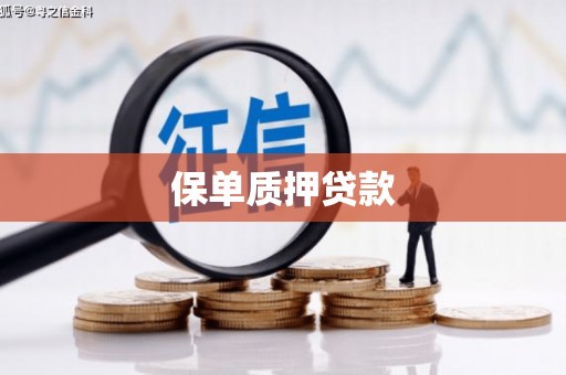 天河保单质押贷款