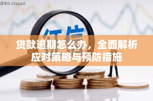 天河贷款逾期怎么办，全面解析应对策略与预防措施