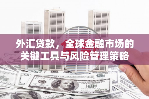 天河外汇贷款，全球金融市场的关键工具与风险管理策略