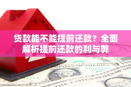 天河贷款能不能提前还款？全面解析提前还款的利与弊