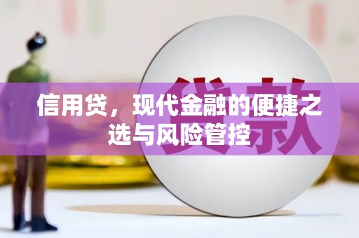 天河信用贷，现代金融的便捷之选与风险管控