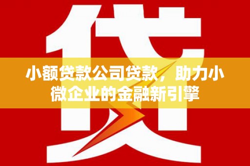 天河小额贷款公司贷款，助力小微企业的金融新引擎