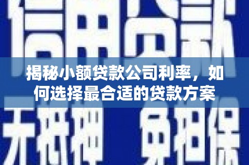 天河揭秘小额贷款公司利率，如何选择最合适的贷款方案