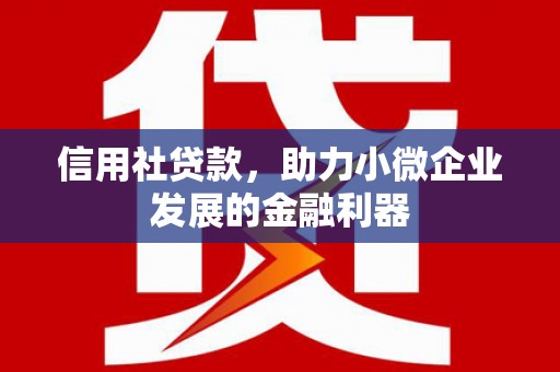 天河信用社贷款，助力小微企业发展的金融利器