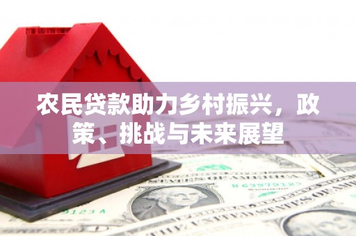 天河农民贷款助力乡村振兴，政策、挑战与未来展望