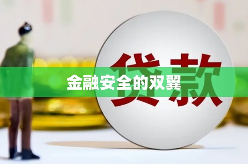 天河金融安全的双翼