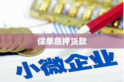 天河保单质押贷款