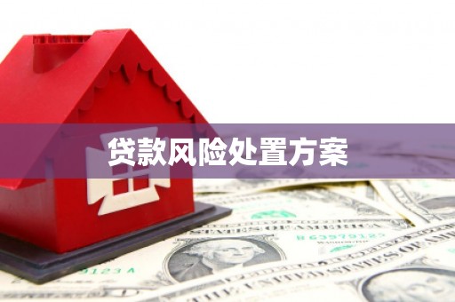 天河贷款风险处置方案