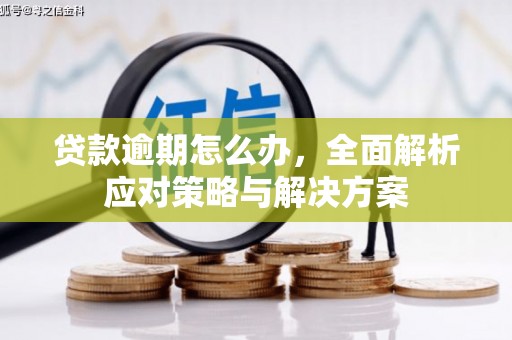 天河贷款逾期怎么办，全面解析应对策略与解决方案