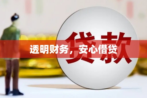天河透明财务，安心借贷