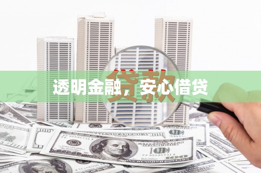 天河透明金融，安心借贷