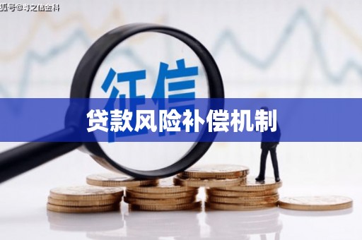天河贷款风险补偿机制