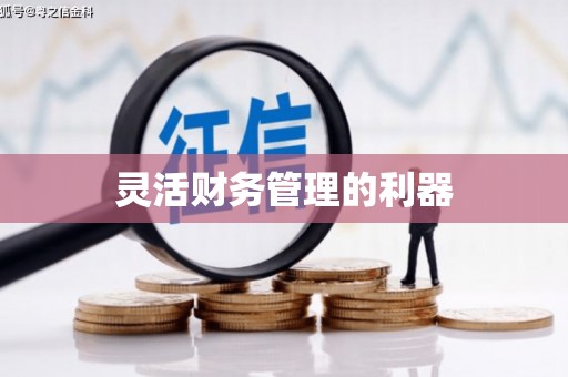 天河灵活财务管理的利器