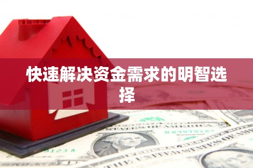 天河快速解决资金需求的明智选择