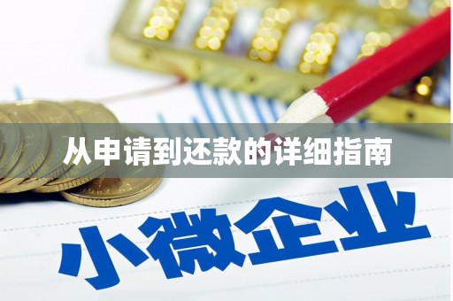 天河从申请到还款的详细指南
