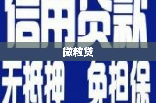 天河微粒贷