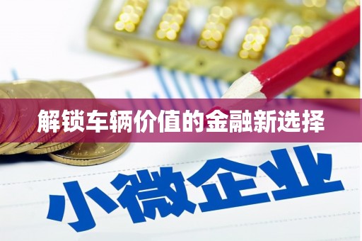 天河解锁车辆价值的金融新选择