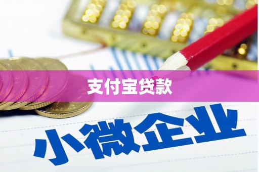 天河支付宝贷款