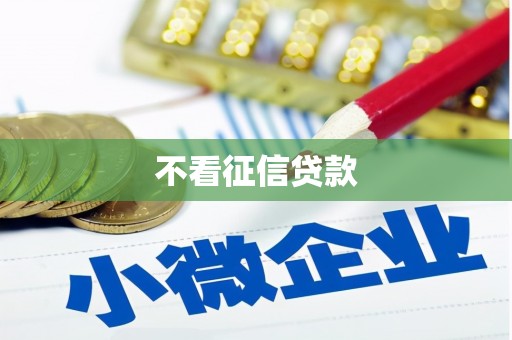 天河不看征信贷款