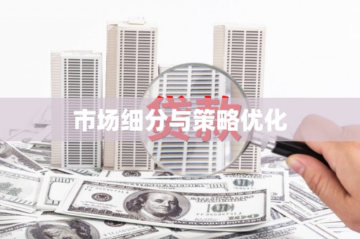 天河市场细分与策略优化